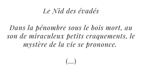Le nide des Evadès