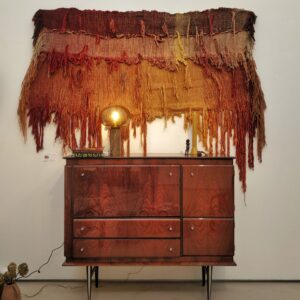 Elegant 1960s varnished Madagascar wood bar