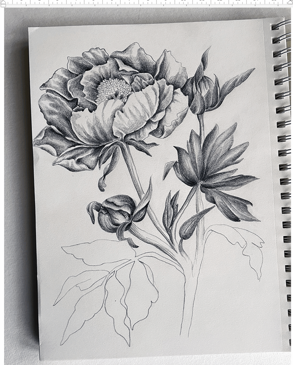 flower Vanina