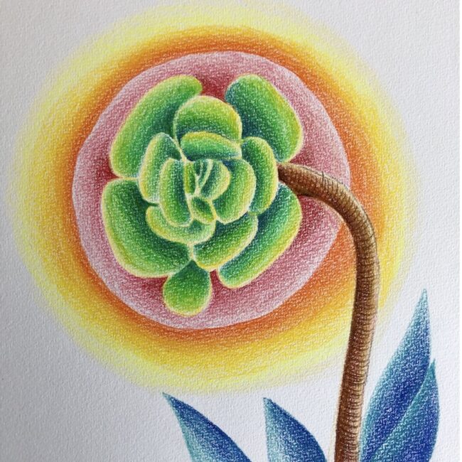 flower Vanina Gallo