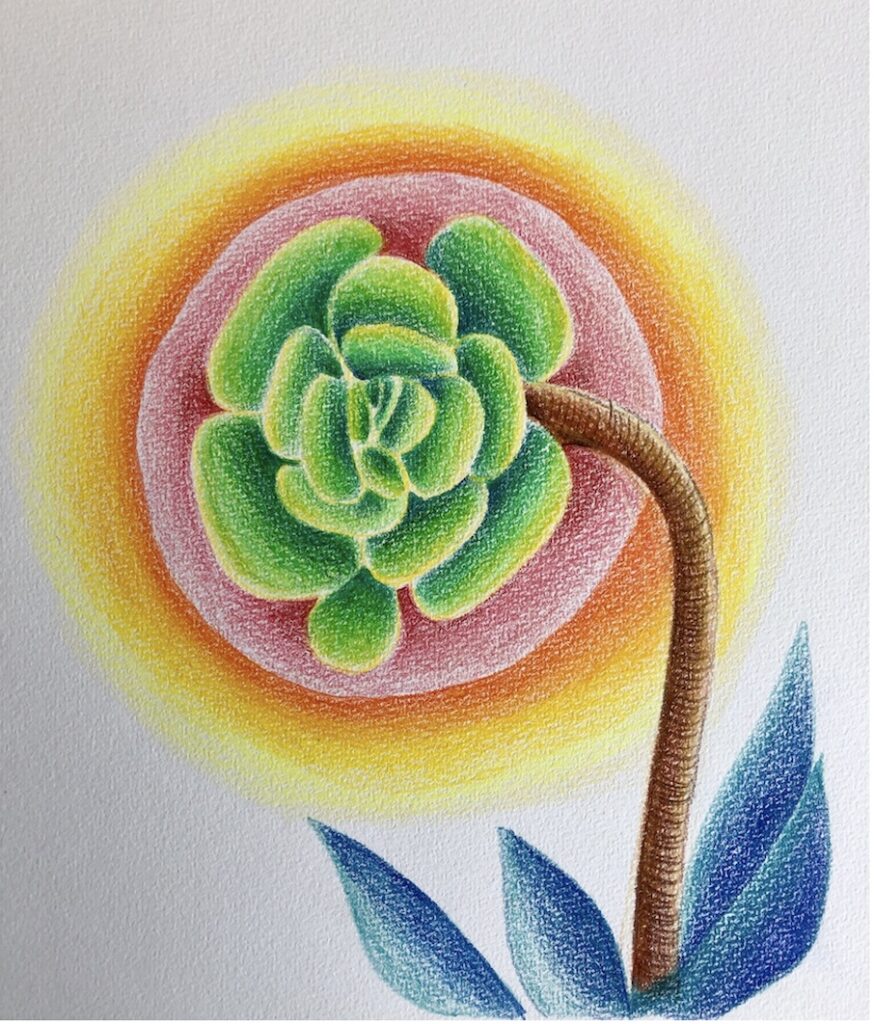 Creative workshop: Reconnect with your vitality, Draw a Flower! With Vanina Gallo