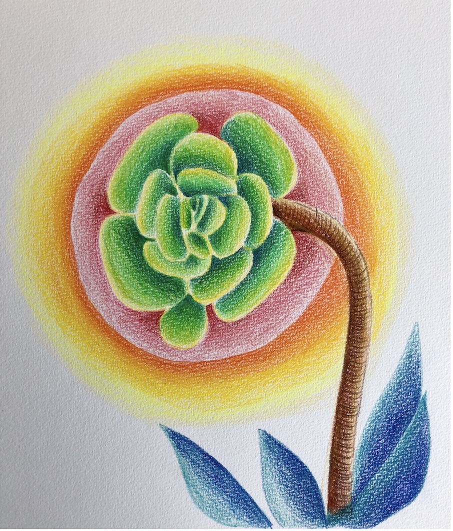 Creative workshop: Reconnect with your vitality, Draw a Flower! With Vanina Gallo