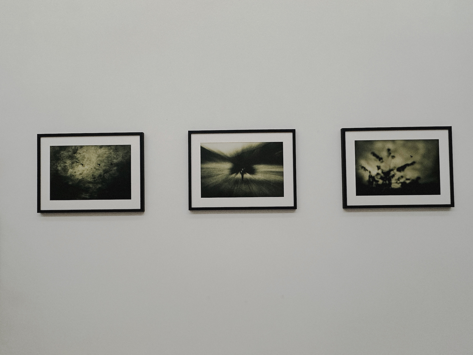 Benoît Theunissen Exhibition