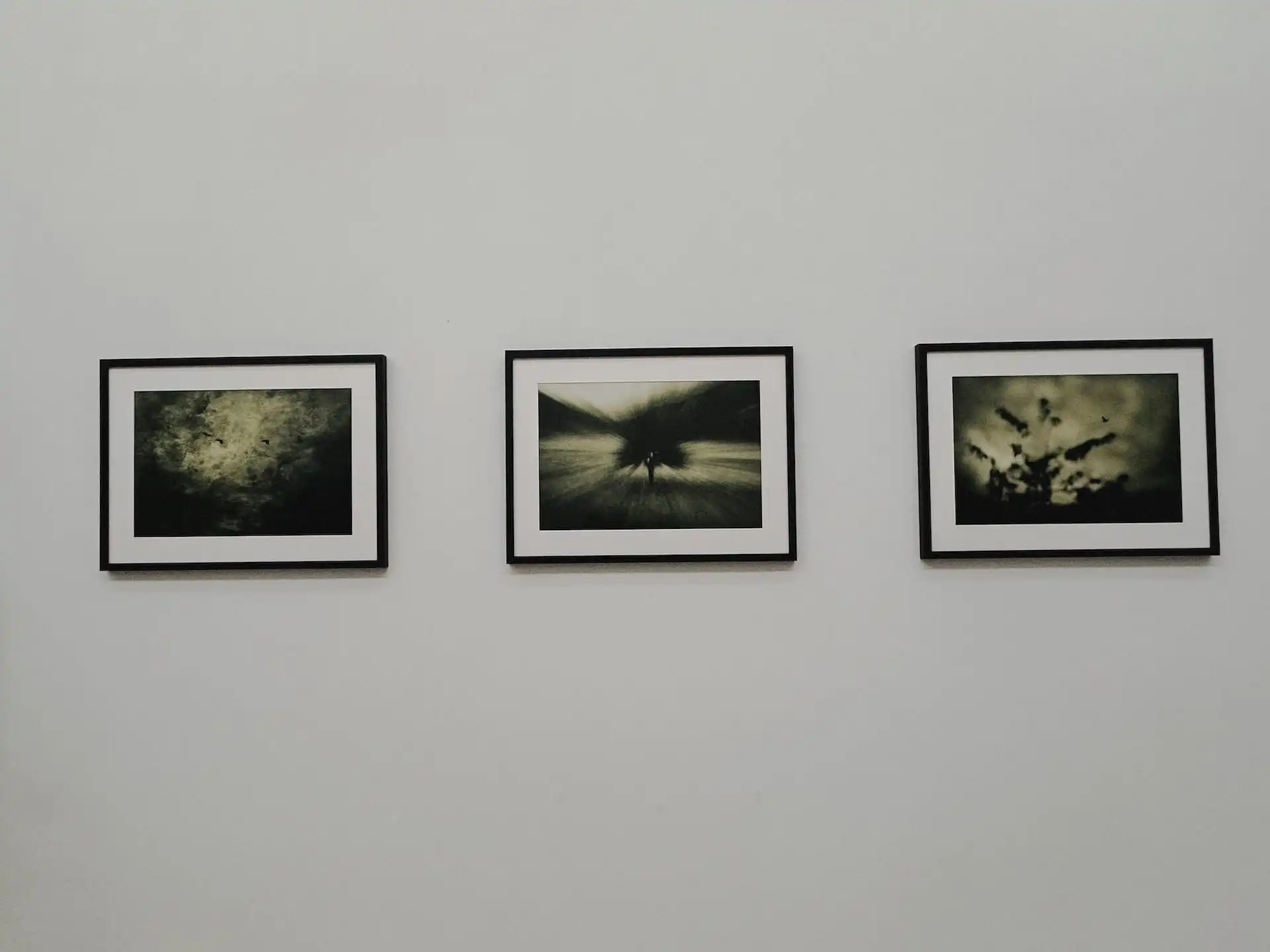 Benoît Theunissen Exhibition