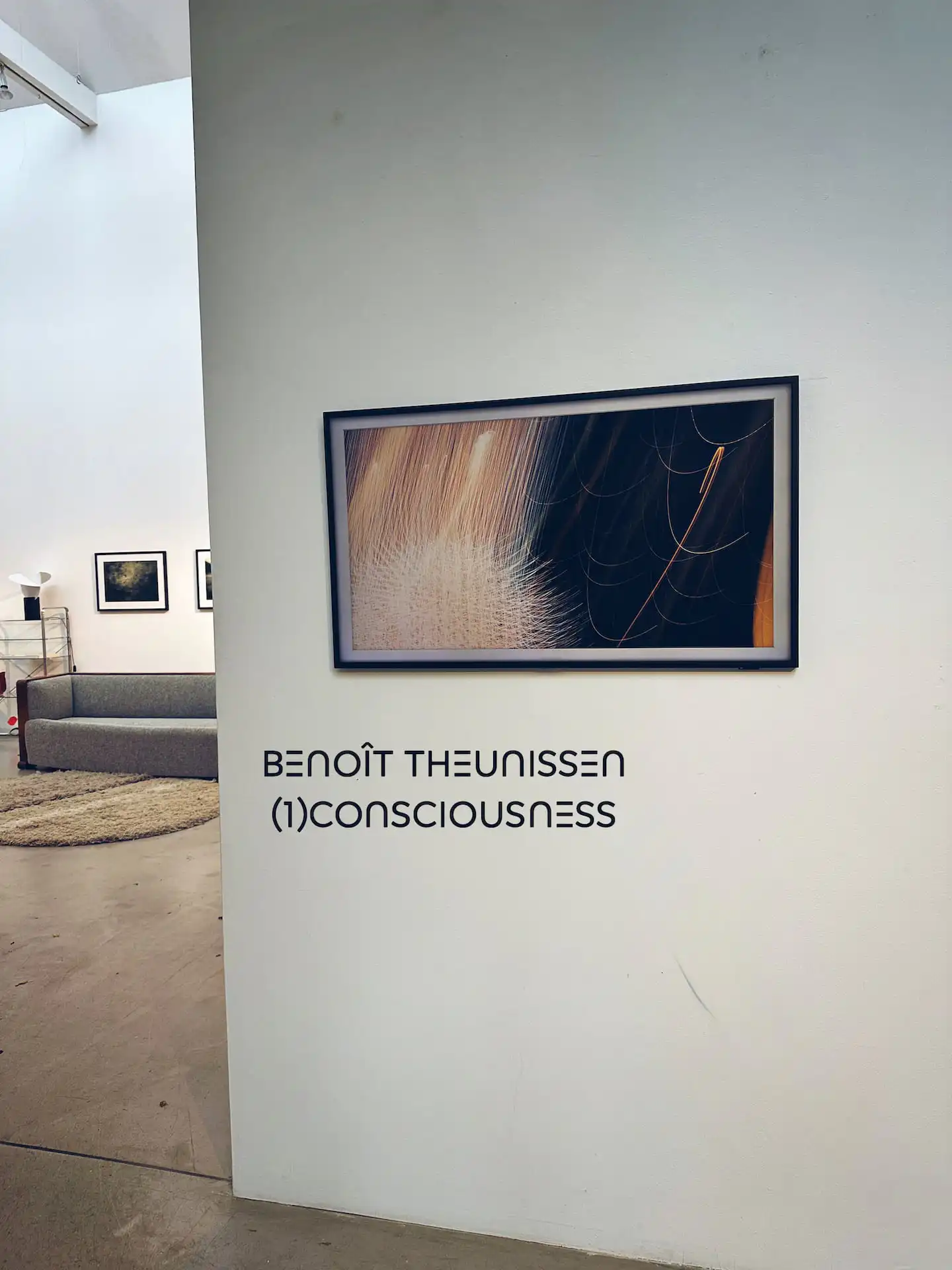 Benoît Theunissen Exhibition