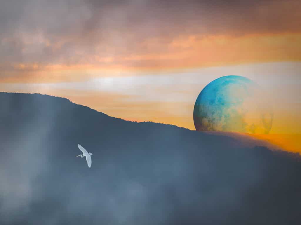 Benoit Theunissen, dreamlike Territories