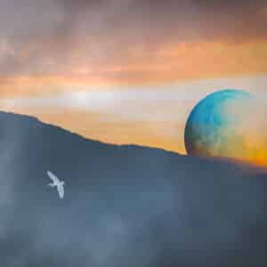 Benoit Theunissen, dreamlike Territories