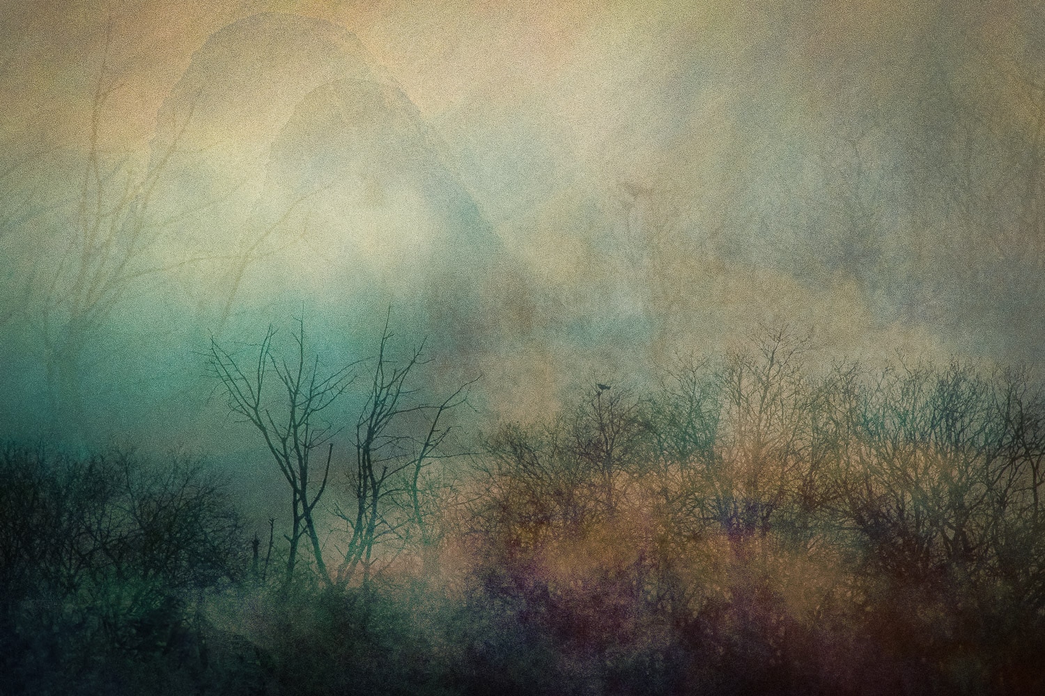 Benoit Theunissen